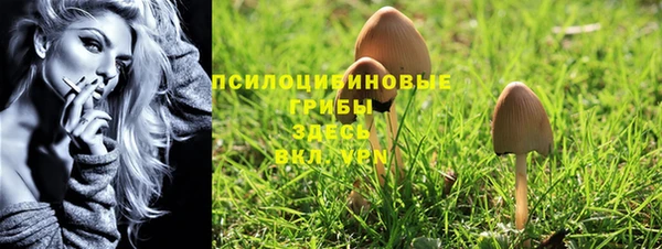 меф Новозыбков