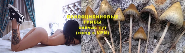 MESCALINE Новодвинск