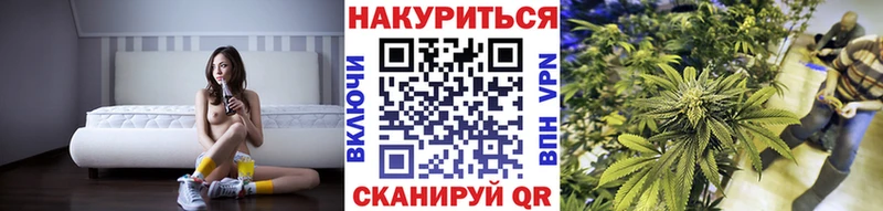 Марихуана SATIVA & INDICA  МЕГА как войти  Шагонар  купить наркоту 